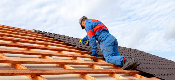 Best Roof Maintenance and Cleaning  in Sinking Spring, PA