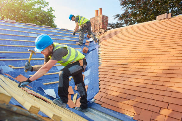 Best Roof Ventilation Installation  in Sinking Spring, PA